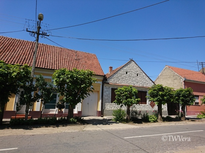 Bela Crkva street, Vojvodina, Serbia